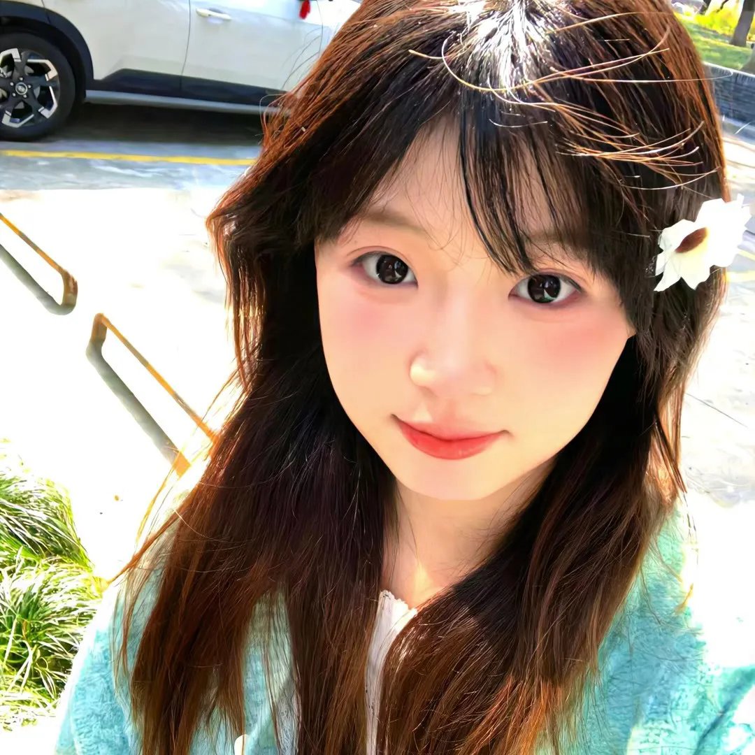泰特罗 在线观看