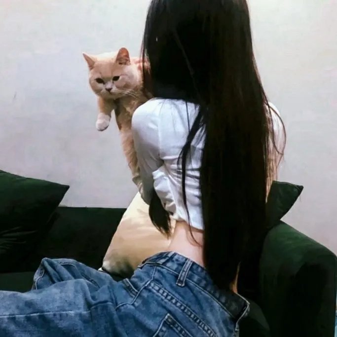 楚门的世界 在线观看